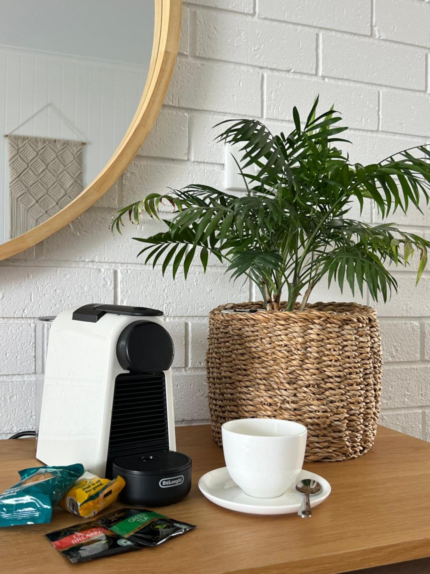 Mollymook Seascape Motel And Apartments (Adults Only) Εξωτερικό φωτογραφία